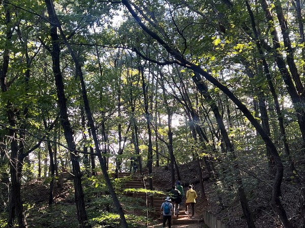 사진1. 고인돌사진2. 돌더미사진3. 울창한 참나무숲사진3-1 치마 입고 걷는 시민들사진4. 산초나무 줄기에 새똥 모양의 호랑나비 애벌레가 붙어있다.사진4-1 숲해설사진5. 여러갈래 탐방로사진6. 서울문산고속도로 소음사진7. 북한산 조망 한적한 논길사진8. 맨발걷기사진9. 칡때까치