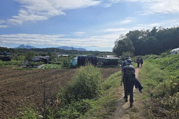 사진1. 고인돌사진2. 돌더미사진3. 울창한 참나무숲사진3-1 치마 입고 걷는 시민들사진4. 산초나무 줄기에 새똥 모양의 호랑나비 애벌레가 붙어있다.사진4-1 숲해설사진5. 여러갈래 탐방로사진6. 서울문산고속도로 소음사진7. 북한산 조망 한적한 논길사진8. 맨발걷기사진9. 칡때까치