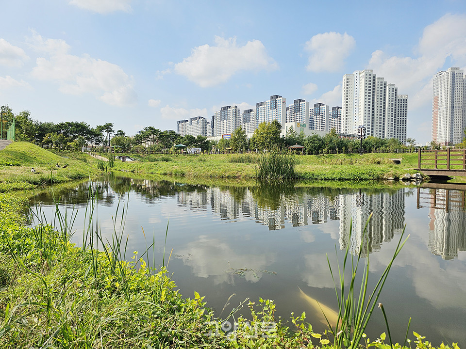 삼송동 아파트를 배경으로 한 밥할머니 공원 전경. 2020년 완공된 수변공원 연못에는 김영수 배다골 테마파크 대표가 기증한 비단잉어들이 떠다닌다.