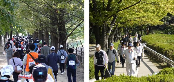 참가자들은 걷기로 일산호수공원의 가을을 즐겼다.