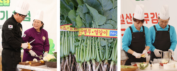 일산열무김치경연대회와 일산열무.