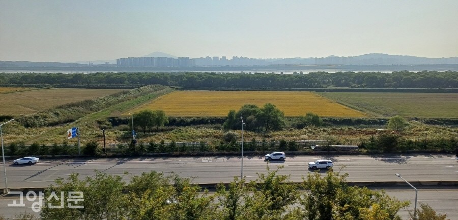 생태관 전망대에서 바라본 풍경. 자유로 너머 장항습지 농경지, 버드나무 군락지, 한강의 풍광이 한눈에 들어온다. 