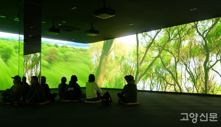 생태관 방문의 하이라이트인 미디어아트관. 장항습지 사계절의 환상적인 영상이 사방 벽면을 가득 채운다. 