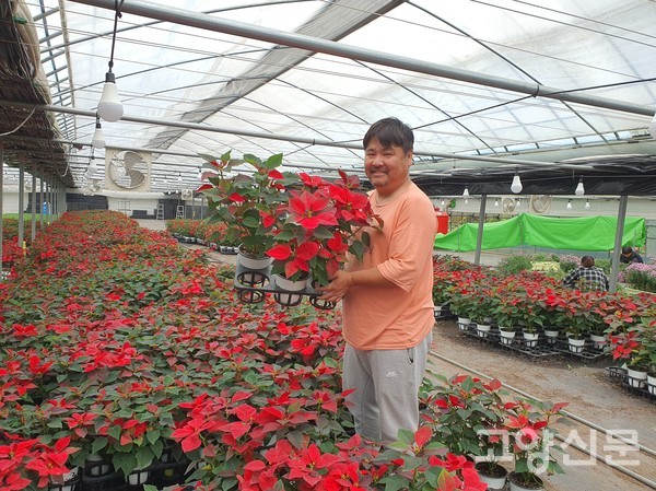 김진호 대표가 곧 나갈 '포인세티아' 화분을 보여주고 있다.
