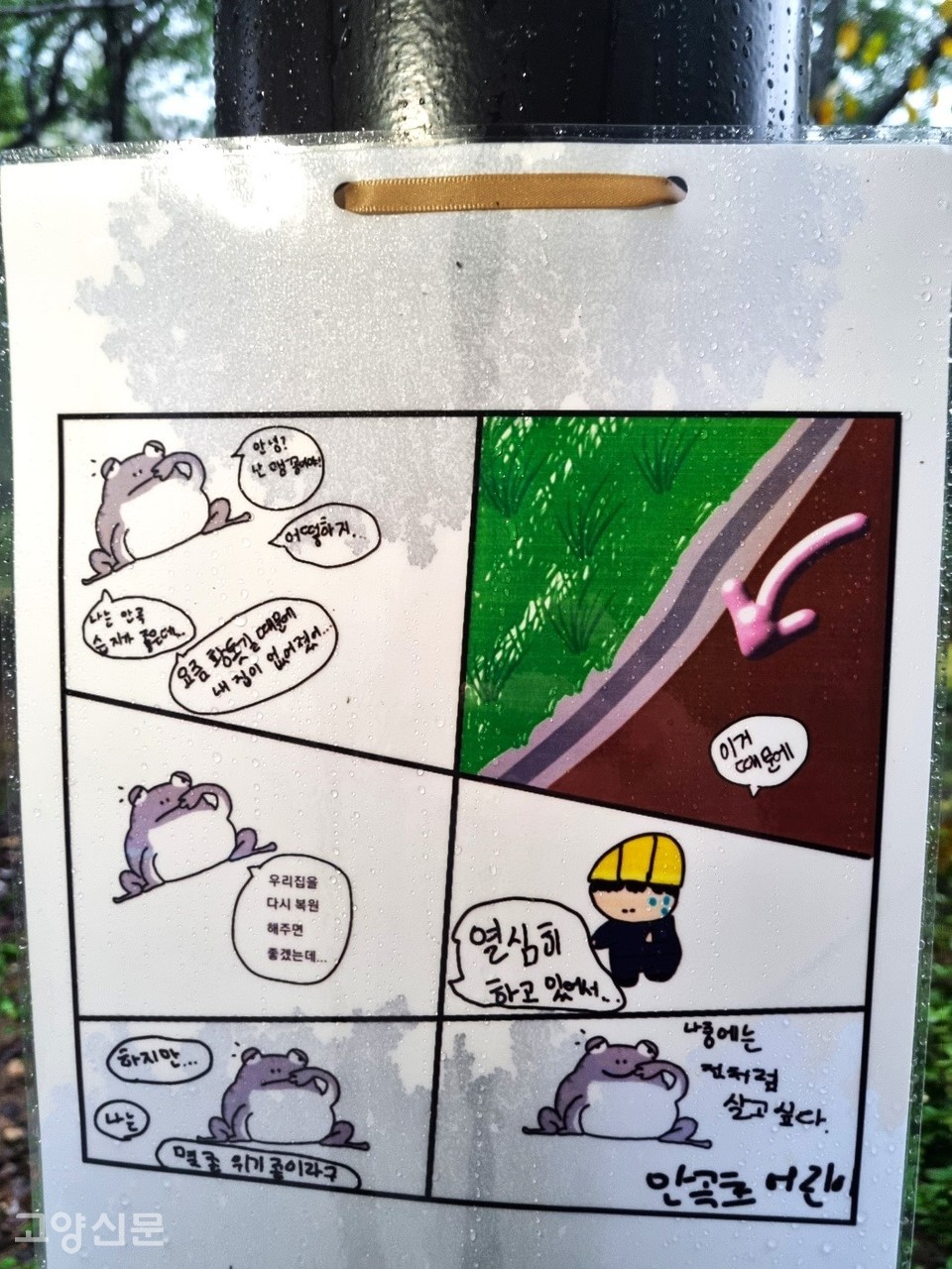 안곡습지공원에 내걸린 환경포스터. 안곡초 한 어린이는 그림을 통해 안곡습지공원이 멸종위기종인 맹꽁이 서식지임을 강조했다. 