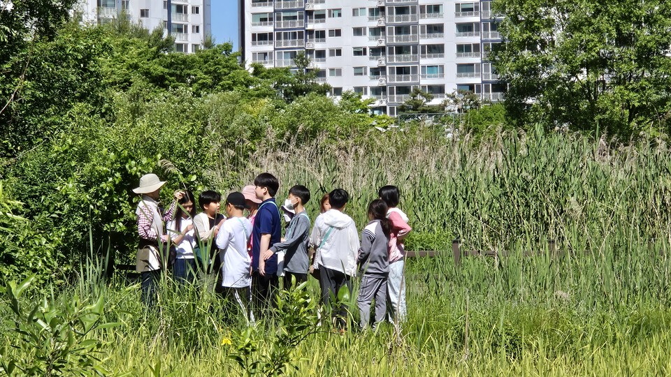 지난 5월 안곡습지에서 생태관찰을 하는 아이들 모습. 안곡습지에 오는 도중 황톳길을 만나면 규칙에 따라 신발을 벗고 황톳길을 지나와야 한다.