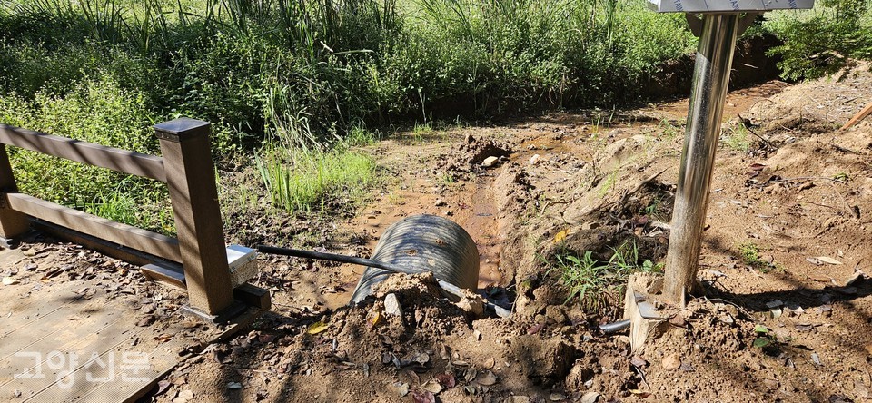 안곡습지로 이어지는 중앙배수로가 막혀 제기능을 하지 못하고 있다.