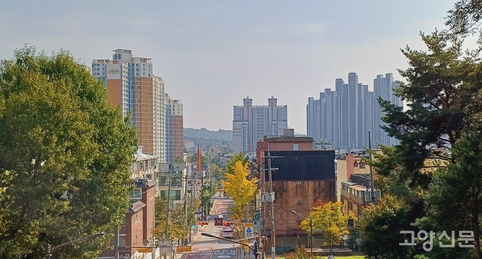 원당 마상공원 육교에서 내려다 본 주교동과 성사동 풍경.