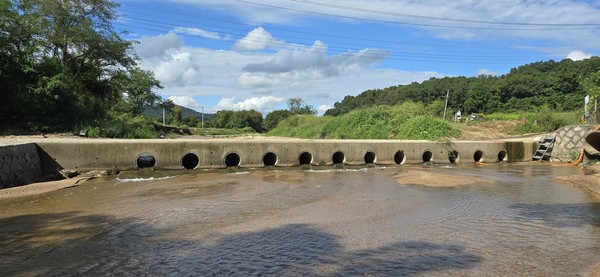 파주 민통선 지역내 소하천인 수내천 주변 도로에 건축폐기물이 포함된 골재가 수북히 쌓여있다.파주 민통선 내 수내천은 사철 맑은 물이흐르며 멸종위기종이 서식하는 생물다양성의 보고다.최용석 파주환경운동연합 집행위원장이 진동면 서곡리 도로변에 수북히 쌓인 폐기물을 들고 있다.