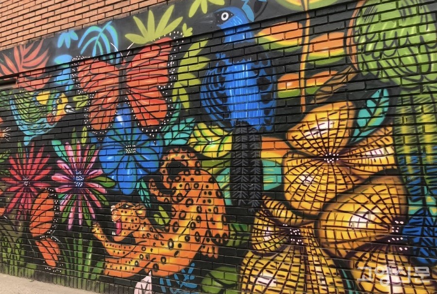 콜롬비아 칼리에서 만난 거리 벽화. 강렬한 색채로 생명의 기운을 표현했다. [사진=한동욱]