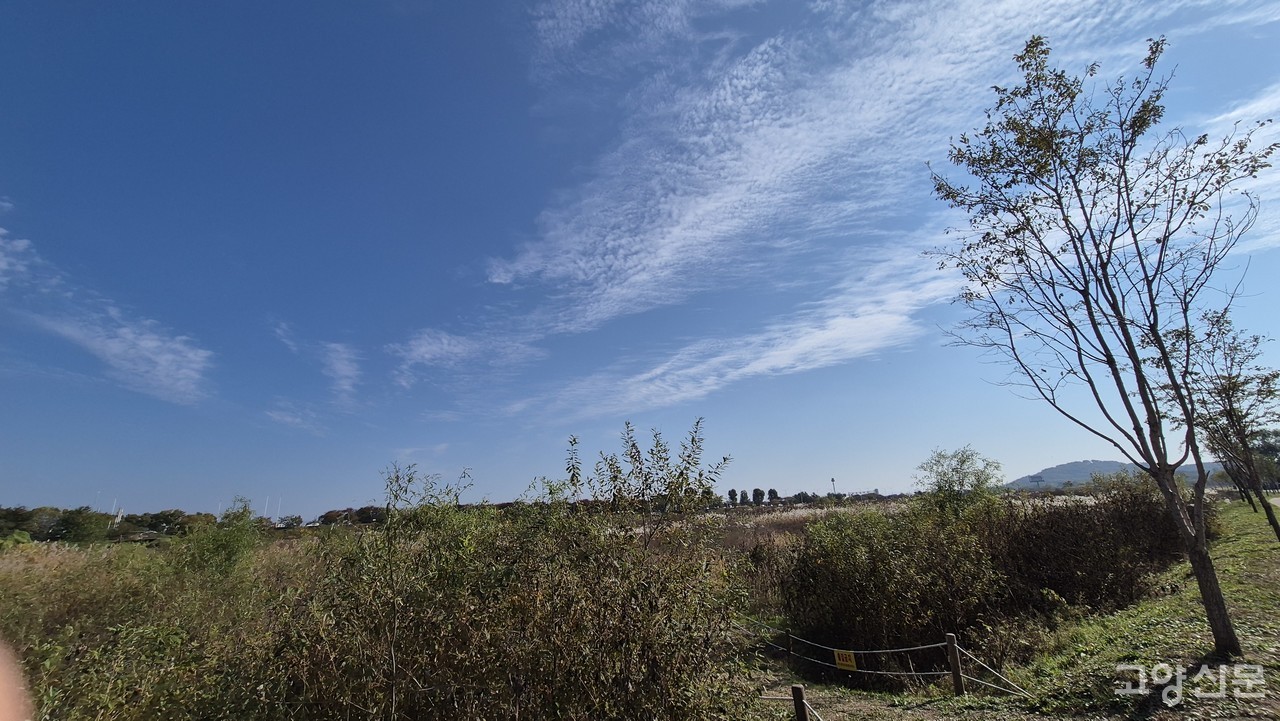 일산호수공원부터 한강공원을 잇는 고양의 녹지축, 바람의 길은 평온함 그 자체다.