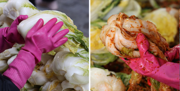 절인 배추를 정성스레 나르고, 양념된 김치에 마무리 손질을 하고 있다.