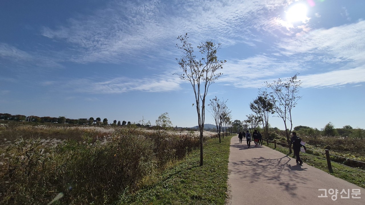 양떼 구름 아래 길가의 억새들, 걸음 닿는 곳마다 볼거리가 풍성한 바람 누리길은 평온함 그 자체다. 