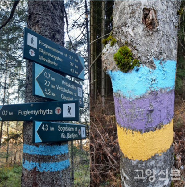 노르카마 숲 길 이정표. 하늘색 표시가 노르마카 숲 트래킹 코스를 의미한다. 겨울철에는 빨간색의 크로스컨트리(노르딕) 스키 이정표가 생긴다.
