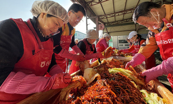 배추에 속재료를 넣고 김장을 하는 송포농협 임직원과 이사, 여성단체 회원들.