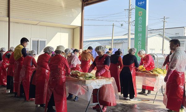 50여 명의 참여자들이 정성스런 손놀림으로 김장을 하고 있다.