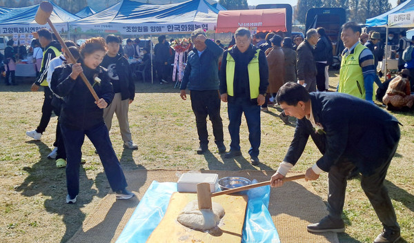 11월 9일 공릉천 체육공원에서 열린 농업인의 날 화합한마당에서 떡메치기를 하는 이용연 회장(오른쪽).