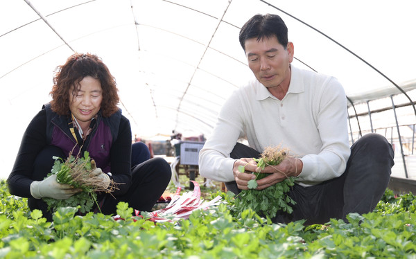 그는 늘 가족과 농장일을 논의하고 대화로 풀어간다. 농산물 품질과 신뢰는 소통으로 이뤄낸 결과다.