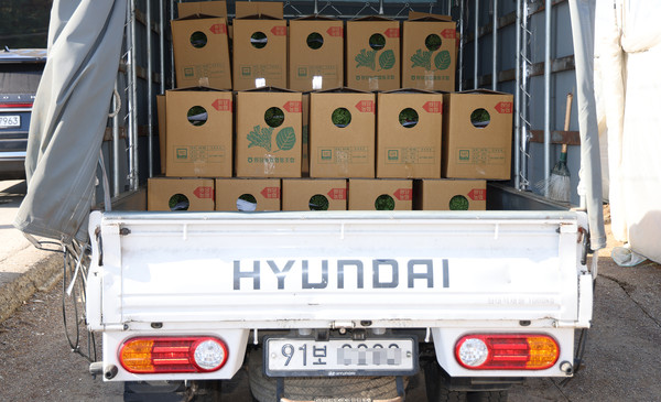 트럭에 가득 실려 도매시장으로 출발 전. 이 회장의 둘째딸이 트럭을 직접 운전한다. 