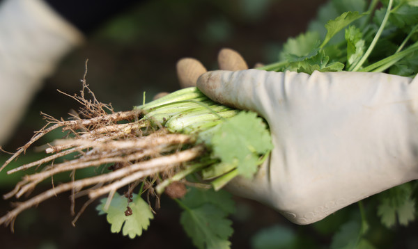 이 회장은 '농산물의 품질은 곧 신뢰'로 이어진다는 것을 누구보다 잘 알기에 그 무엇도 소홀히 하지 않는다