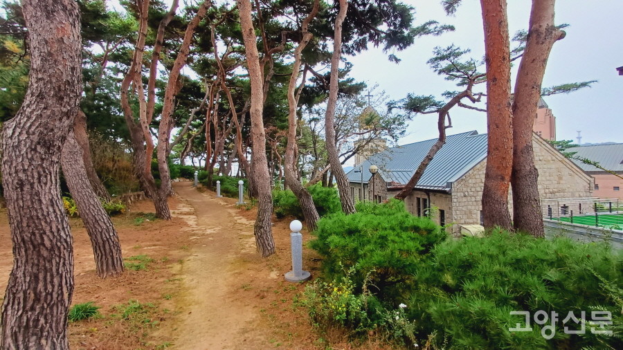 성당 뒤편 솔밭으로 이어진 묵상 산책로. 