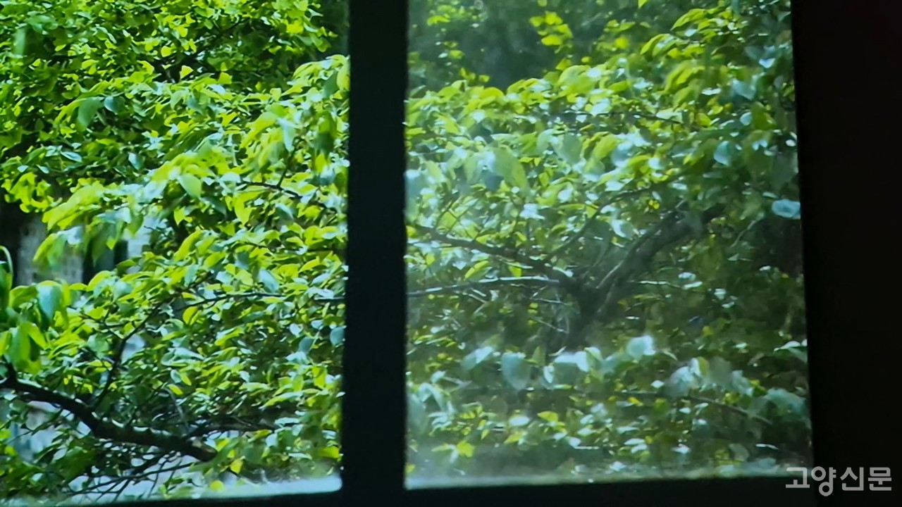 돈의동의 여름과 열음지기 두 편이 상영됐다.