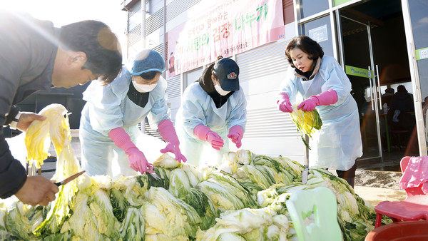 절인 배추를 정성스럽게 하나하나 정리하는 참여자들.