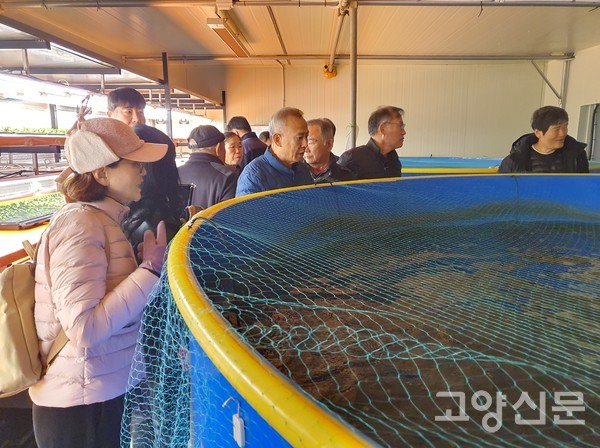 회원들이 아쿠아 포닉스-봉스팜에서 유럽형 채소를 자라게 하는 물고기들을 살펴보고 있다.