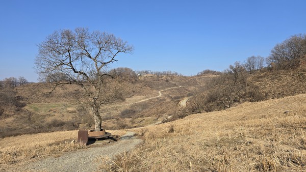 버드나무 쉼터를 지나 구름다리를 건너면 개안마루가 나온다.