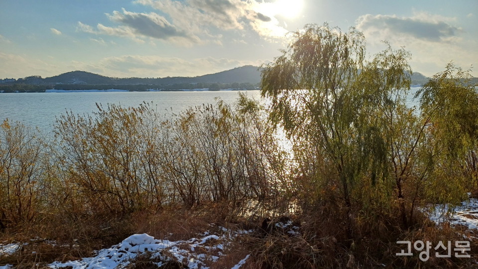 82032_120400_4724.jpg