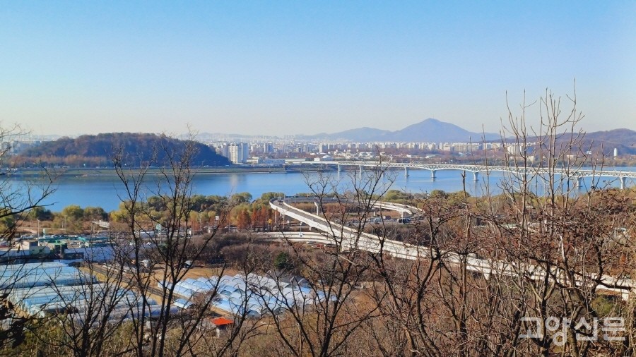 산자락의 재배시설은 서울시가 운영하는 양묘장이고, 그 옆으로는 서울-문산고속도로 진출램프가 강변북로로 이어지는다. 멀리 인천 계양산의 모습이 선명하다. 