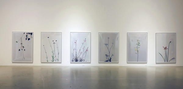  전시된 사진들.