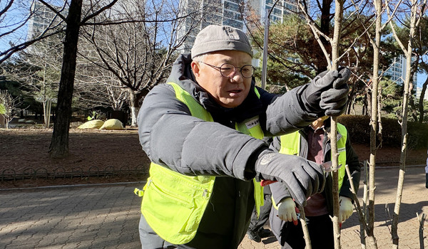 진기철 회장이 전정작업을 하고 있다. 무궁화에 대한 사랑이 남다르다.