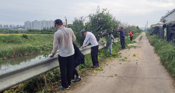 장월평천에서 봉사를 하는 봉사단원들.