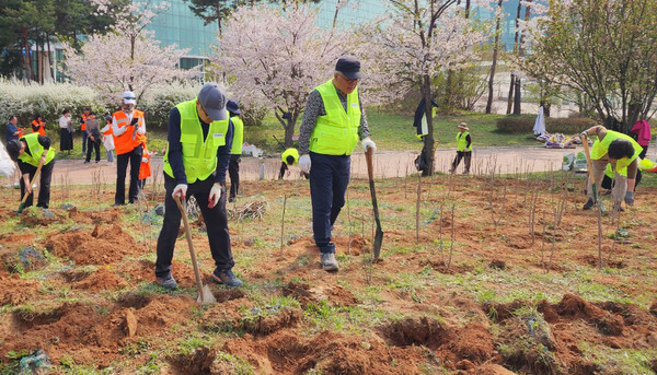 킨텍스에 무궁화 나무를 심고 있는 무궁화사랑 봉사단.