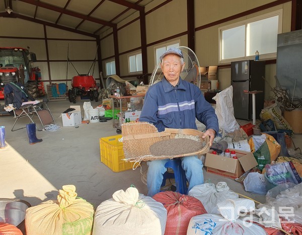 이번 가을에 수확한 들깨를 키에 담아서 보여줬다.