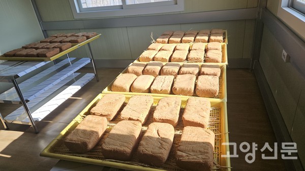 메주를 만들어 따뜻한 방에 띄우는 모습