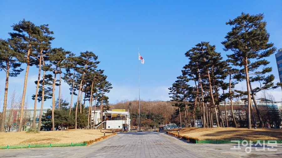 일산문화광장에서 바라본 정발산. 높이 88m의 나지막한 야산이다. 