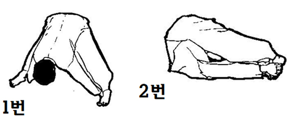 집에서 쉽게 할 수 있는 행궁 [이미지제공 = 유용우한의원]  
