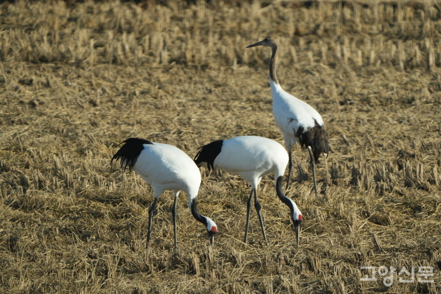 [사진=박경만 전문기자]