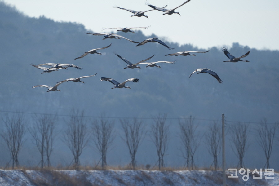 [사진=박경만 전문기자]