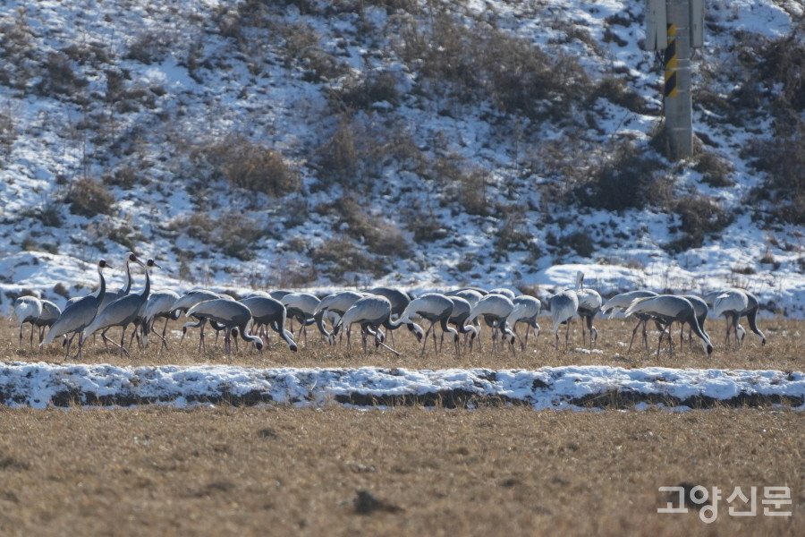 [사진=박경만 전문기자]