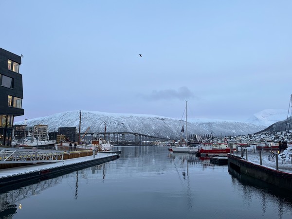 트롬쇠 해안가 인근 부둣가 풍경, 한겨울에도 갈매기들이 날고 있다. [이철규 특파원]