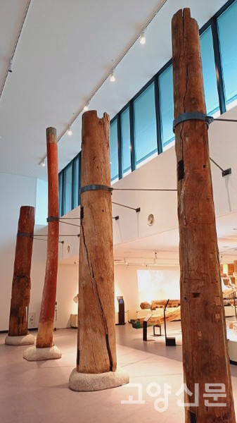 수백년 동안 건물 지붕을 떠받들고 있었던 나무 기둥들. 