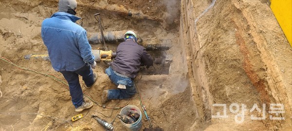 [사진제공=강태우 독자]