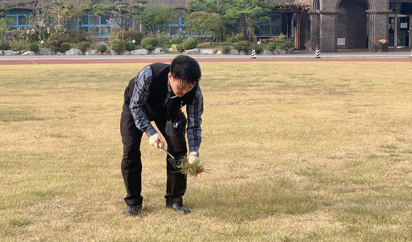 운동장에서 풀을 뽑으며 운동장 상태를 보고 있는 김봉환 교장.