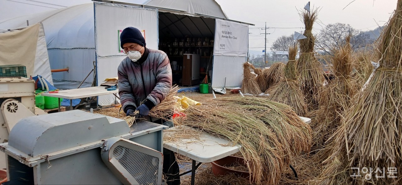 우보농장에서 토종벼를 탈곡하는 모습