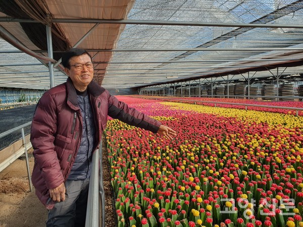백병열 대표가 수출용으로 재배하는 접목선인장 '비모란'을 소개하며 "수출검역 직원이 농장으로 와서 매우 꼼꼼하게 검역을 한다"고 말했다.