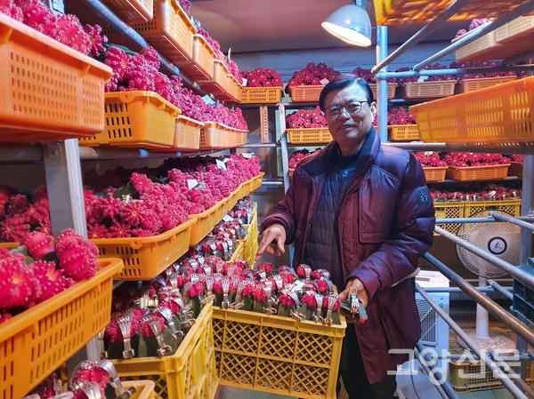 백병열 대표는 "삼각주 기둥과 비모란 자구 윗부분을 자른 후 자른 부위를 전용 집게로 위아래를 고정한 뒤 전용건조실에서 1주일 두면 접목된다"고 설명했다.