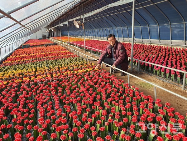 백병열 대표가 비모란 신품종을 관찰하고 있다.
